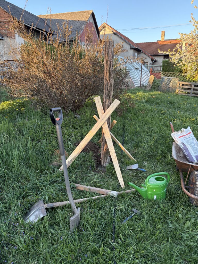 Betonáž akátových sloupků